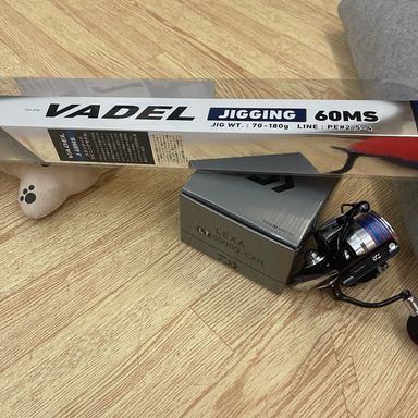 DAIWA LEXA LT5000D-CXH