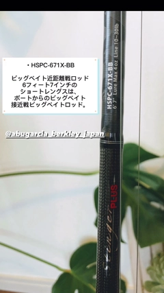 AbuGarcia ホーネットスティンガー プラス 用途特化型モデルの AbuGarcia ホーネットスティンガー プラス 用途特化型モデルの