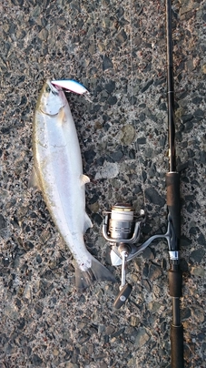 アブガルシア トラウティンマーキス ノーザンカスタム TNCS-108M-TZ