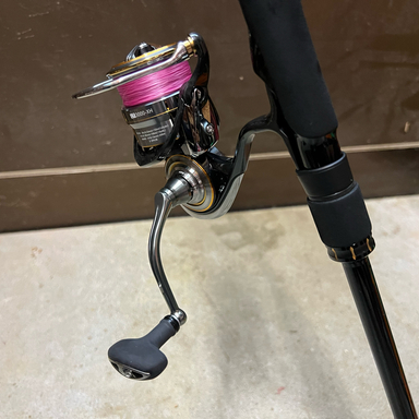 DAIWA LUVIAS AIRITY LT3000-XH