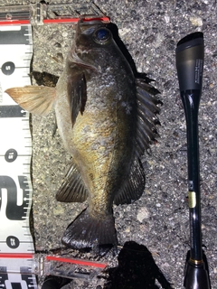 SHIMANO 20ソアレ エクスチューン S610SUL-Sの最安値・インプレ SHIMANO 20ソアレ エクスチューン S610SUL-Sの最安値・インプレ
