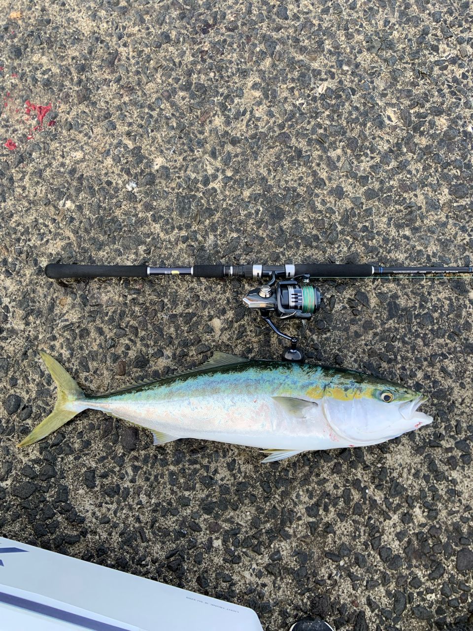 SHIMANO 19コルトスナイパー SS S96MHの最安値・インプレ・釣果 | 本音