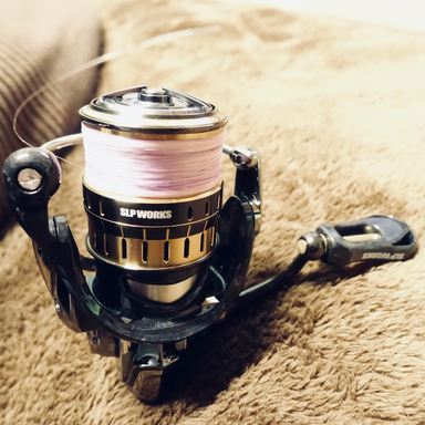 DAIWA EXIST FC LT1000S-P