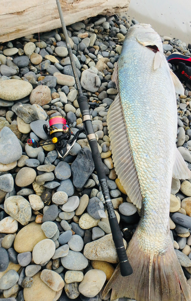 AbuGarcia エラディケーター ゼノモーフ ビッグチャップ EXMS