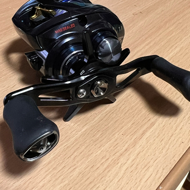 DAIWA STEEZ A TW HLC 7.1L