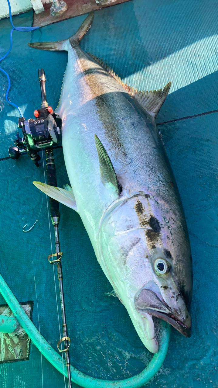 シマノ ビーストマスター MD 3000