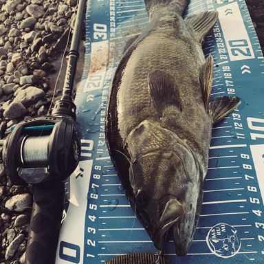 AbuGarcia VERSART VERC-610M