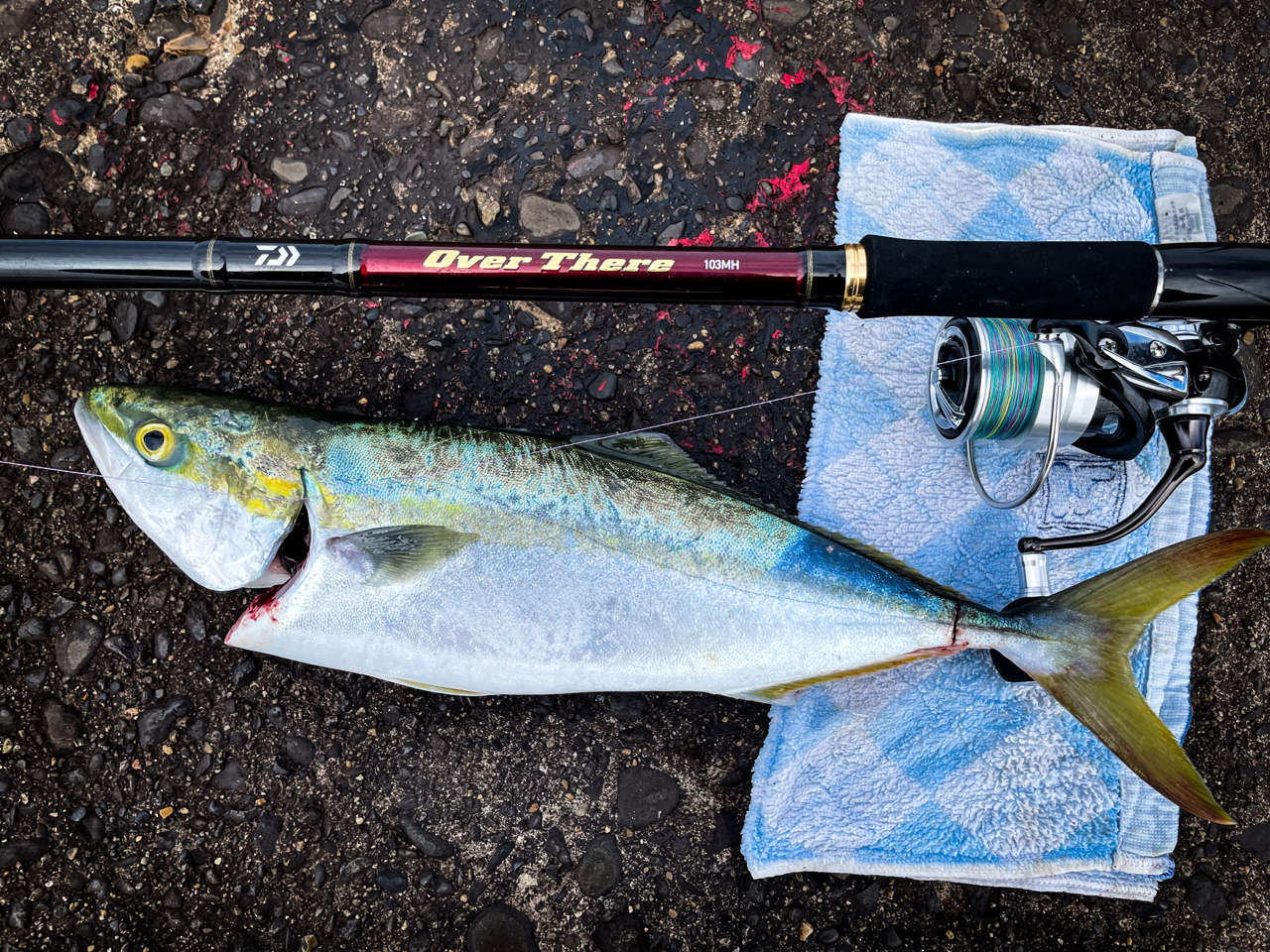 DAIWA 20オーバーゼア 103MHの最安値・インプレ・釣果 | 本音の