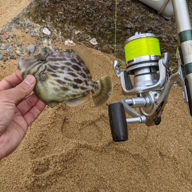 SHIMANO PAWEREARO 03パワーエアロ