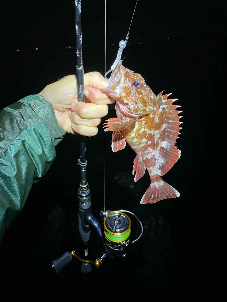 AbuGarcia クロスフィールド XRFS-604UL-TEの最安値・インプレ