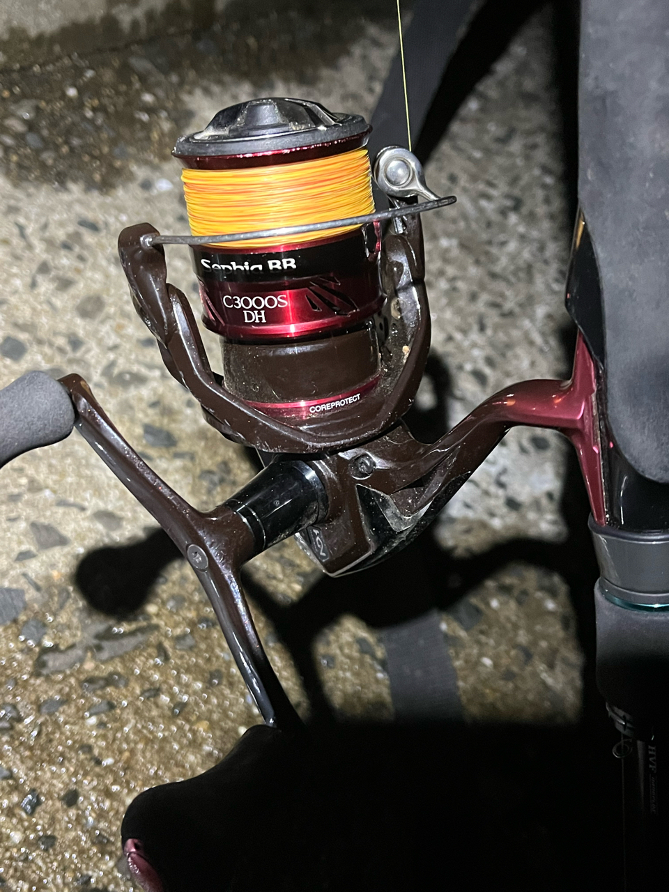 shimano 人気 sephia bb ドラグ