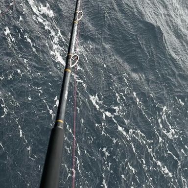 アマノ釣具 NAVIGATER IKA 170H NAVIGATER IKA 170H ナビゲーターイカ