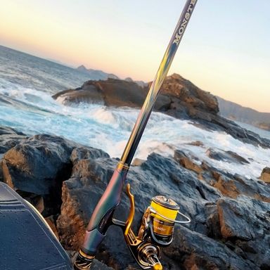 DAIWA Monster Force AGS クチブト 口太50