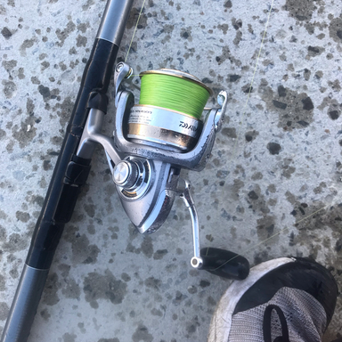 DAIWA REVROS　MX 4000