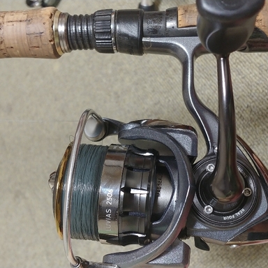 DAIWA 15 LUVIAS DAIWA 15LUVIAS ダイワ　15ルビアス　2500S