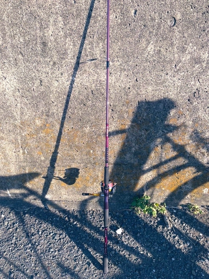 ダイワ ハートランド リベラリスト 903ML+RSS-22