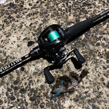 DAIWA PR100 L