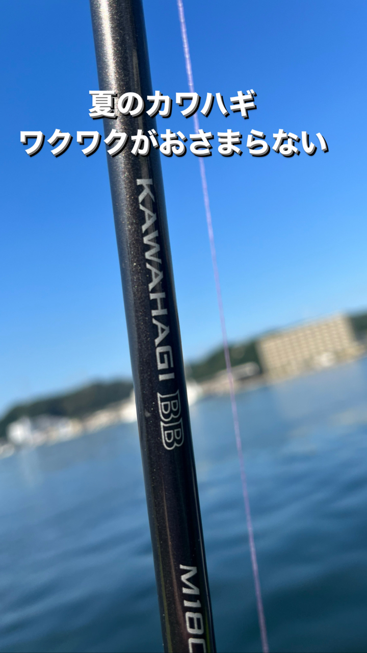 SHIMANO 19カワハギ BB M180の最安値・インプレ・釣果 | 本音の口コミが集まる釣具通販「TACKLE BOX」