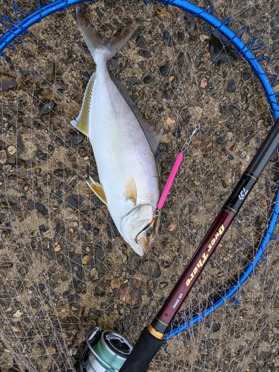 DAIWA 20オーバーゼア エア 109MHの最安値・インプレ・釣果