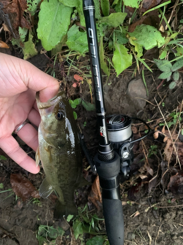 アブガルシア バスフィールド BSFS-672L