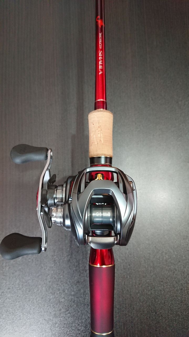 DAIWA 17スティーズ A TWのインプレ一覧 | 本音の口コミが集まる釣具