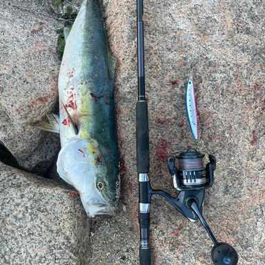 SHIMANO STRADIC SW 10000HG