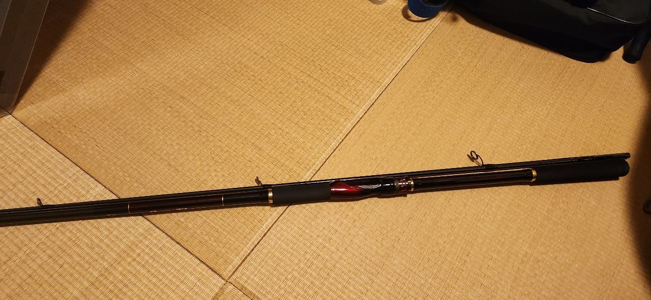 DAIWA 21オーバーゼア グランデ（サーフモデル） 1010M/MHの最安値