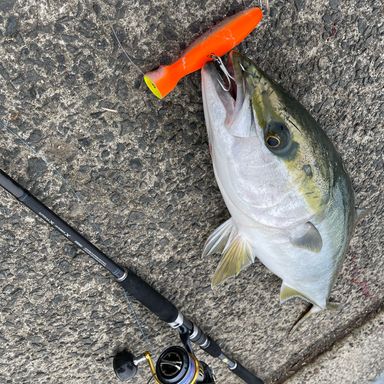 SHIMANO 15 TWIN POWER 5000XG