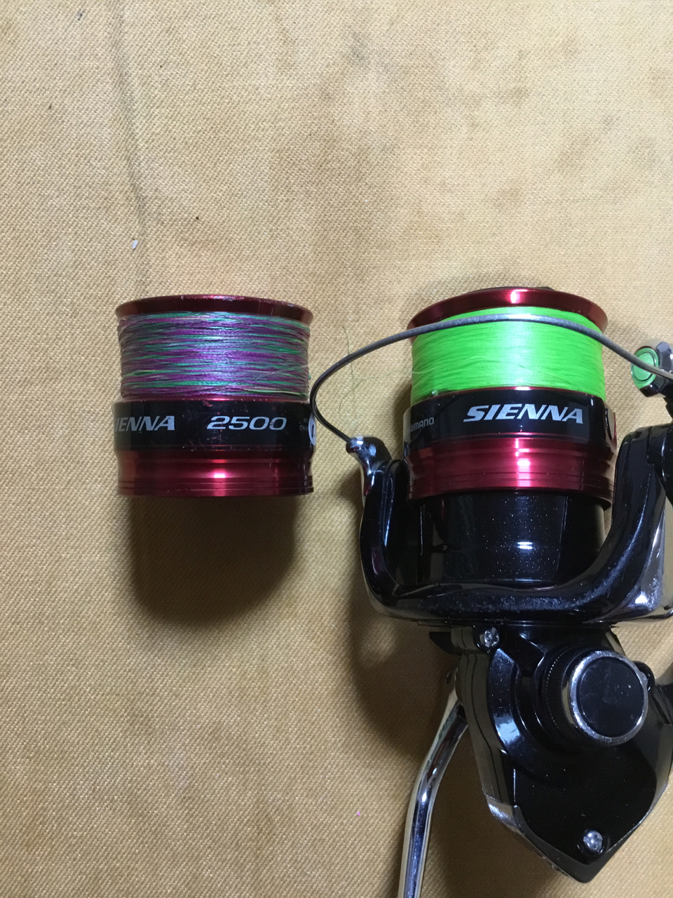 SHIMANO 19シエナ 2500の最安値・インプレ・釣果 | 本音の口コミ