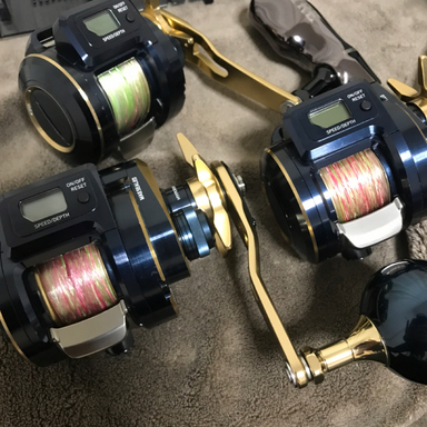 DAIWA SALTIGA IC 300