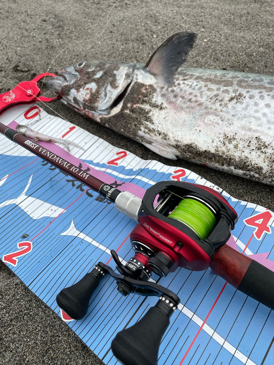 AbuGarcia 20レボ・ビースト ロケット Revo Beast 41 Rocket-Lの