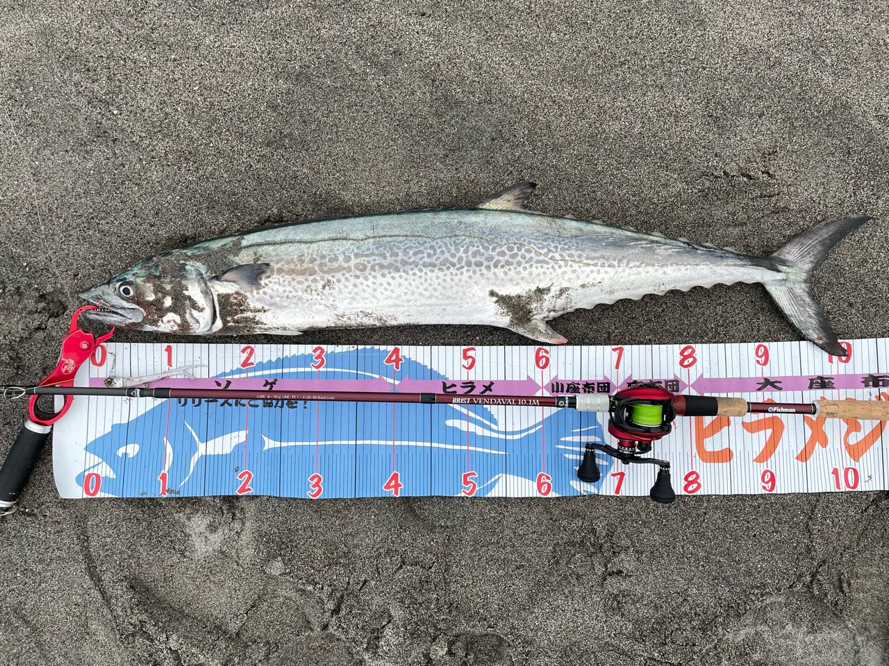 AbuGarcia 20レボ・ビースト ロケット Revo Beast 41 Rocket-Lの最安値