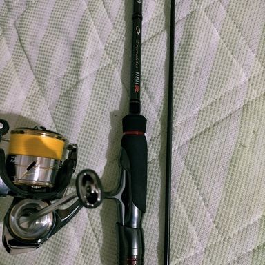 DAIWA EMERALDAS STOIST RT IL 81M