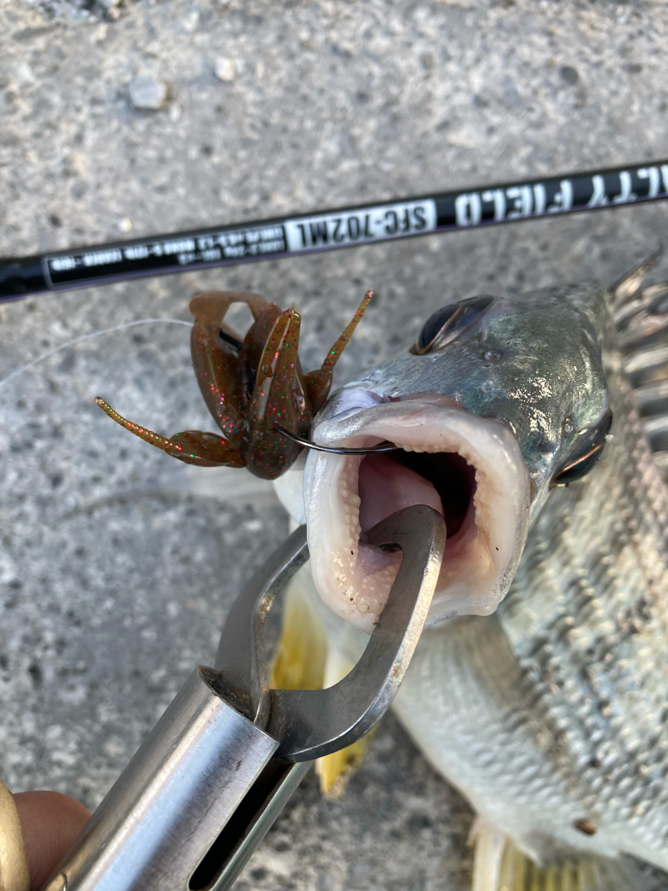 AbuGarcia ソルティーフィールド SFC-702MLの最安値・インプレ