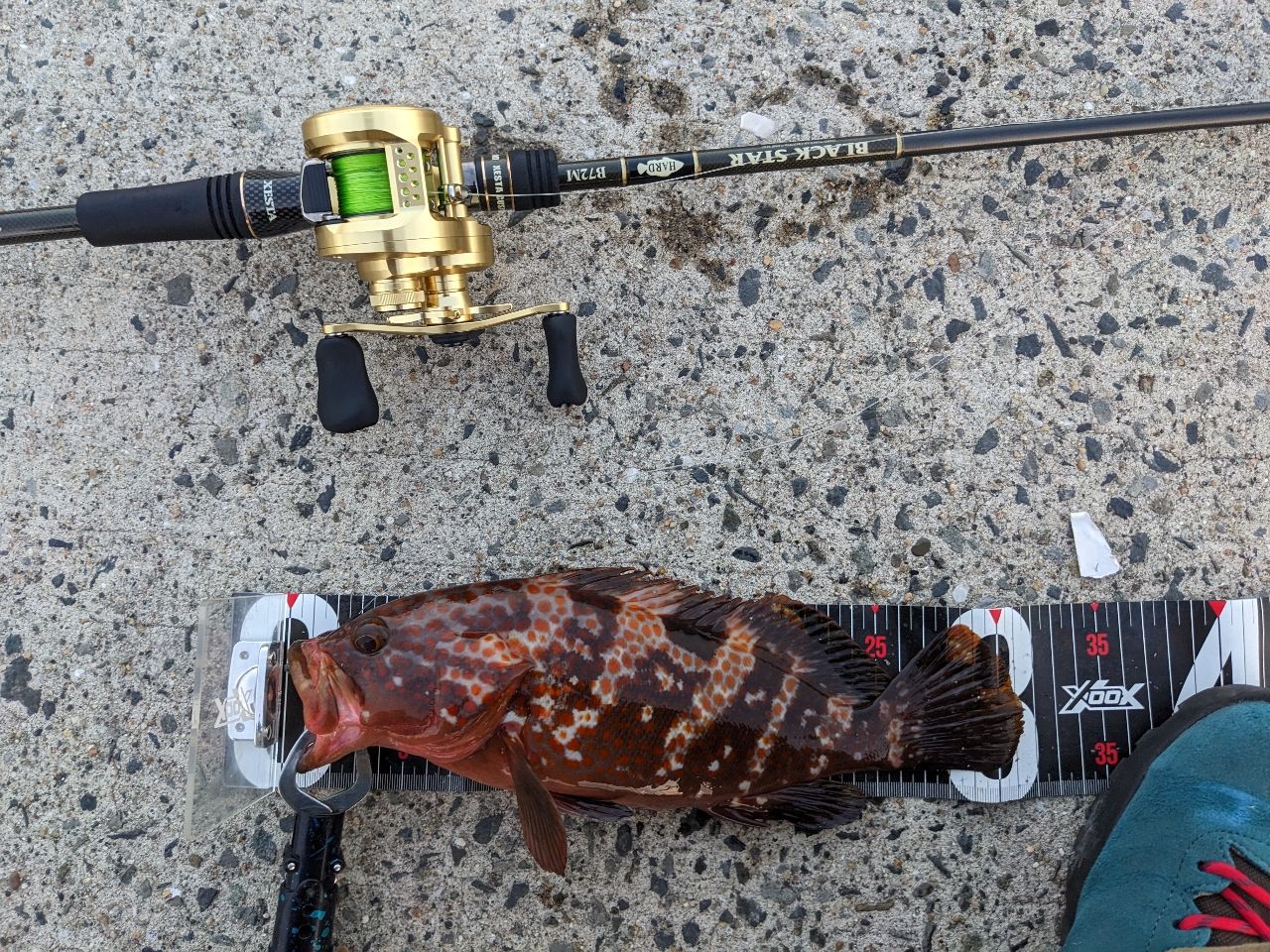 SHIMANO 21カルカッタコンクエスト 200XGの最安値・インプレ・釣果