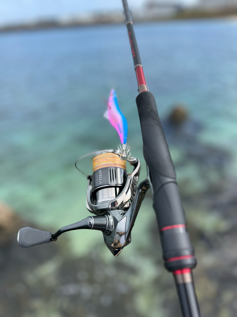 SHIMANO 21セフィア XR S86ML-Sの最安値・インプレ・釣果 | 本音の口コミが集まる釣具通販「TACKLE BOX」