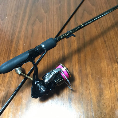 DAIWA BALLISTIC LT2500S-XH