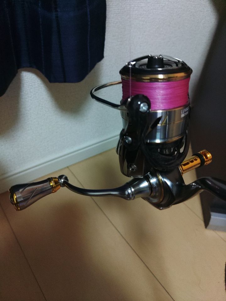 DAIWA 20ルビアス FC LT2500S-XHの最安値・インプレ・釣果 | 本音の