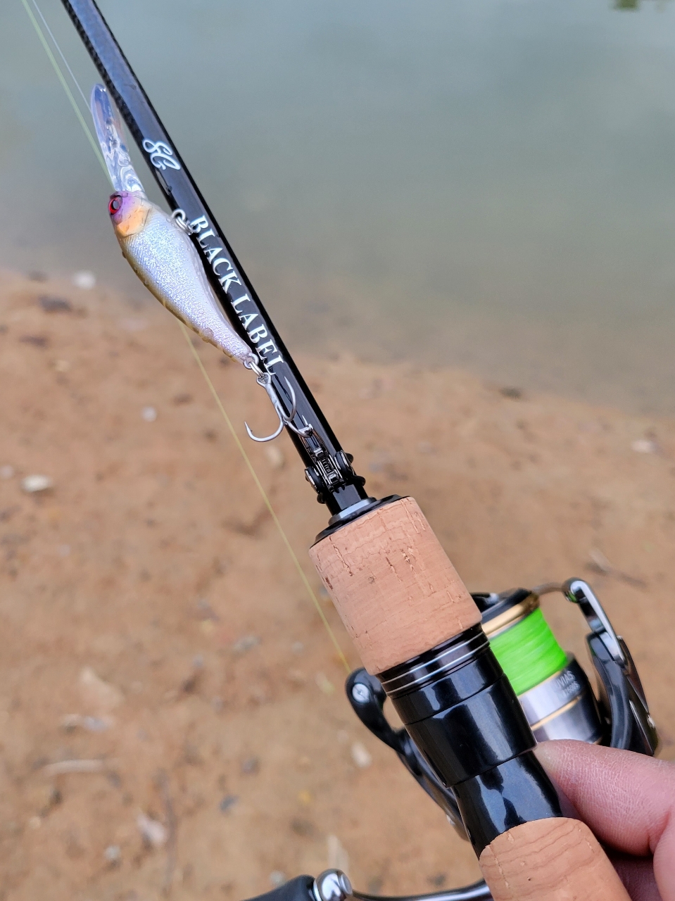 DAIWA 20ルビアスのインプレ一覧 | 本音の口コミが集まる釣具