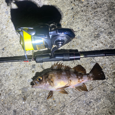 DAIWA AIRITY LT3000-H