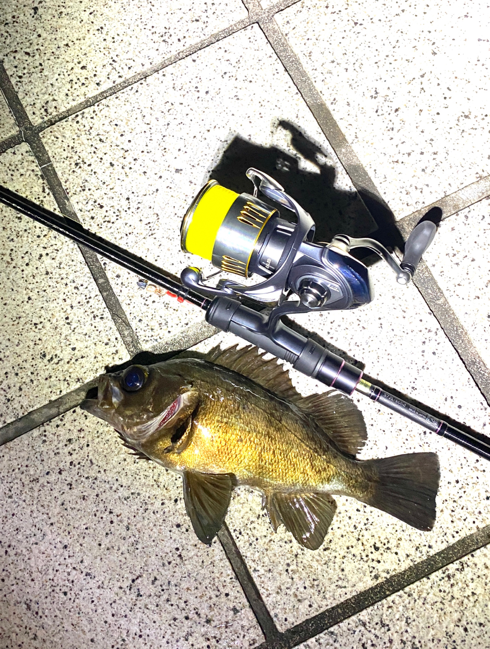 DAIWA 23エアリティ LT3000-Hの最安値・インプレ・釣果 | 本音の