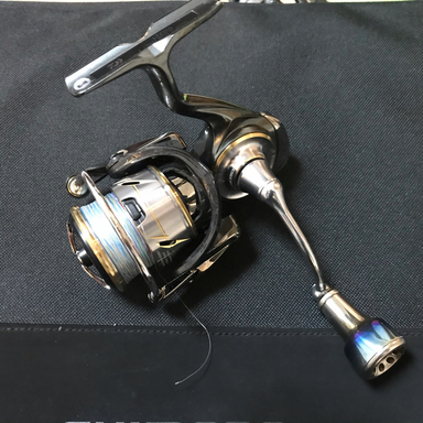 DAIWA LUVIAS LT2500