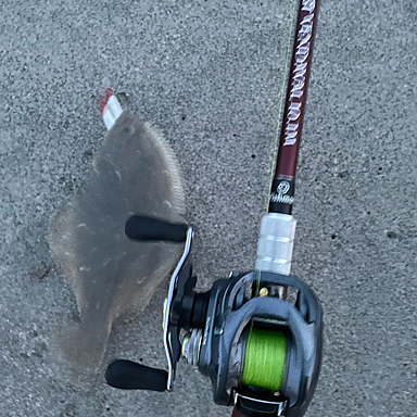 DAIWA 16 ZILLION SV TW 1016SV-XXHL