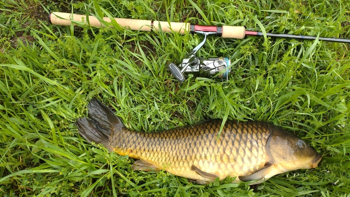 シマノ ステラ 2500SHG