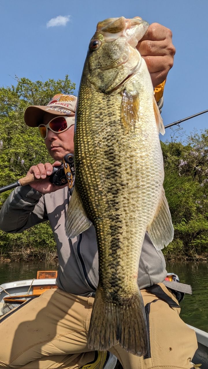 AbuGarcia 18ロキサーニ パワーシューター Lの最安値・インプレ・釣果