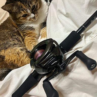 SHIMANO 18 ANTARES DC MD XG