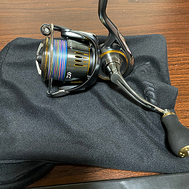 DAIWA AIRITY PC LT2500-H