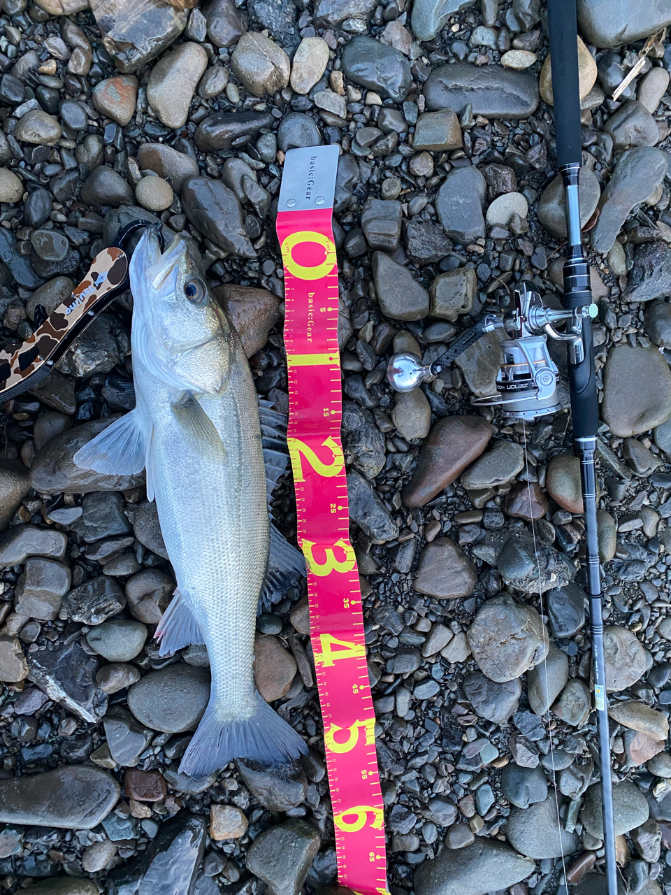 AbuGarcia ソルティースタイルシーバスの最安値・インプレ・釣果