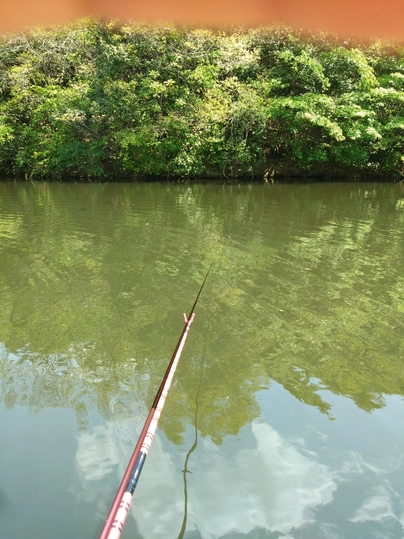 シマノ 紅月 16.5