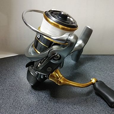 DAIWA FREAMS (’18) LT1000S